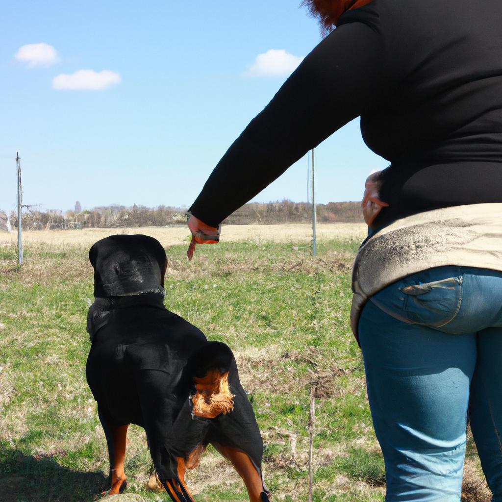 Person training Rottweiler dog outdoors